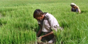 Agri-cooperation: India, US agree to renew cooperation in Agriculture