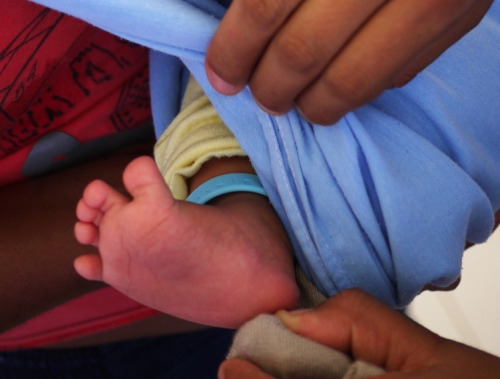 Electronic Vaccine Intelligence Network: Innovation of Immunisation Technologies