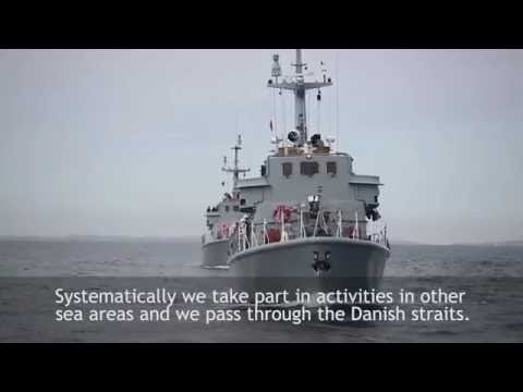 Polish Navy minesweepers