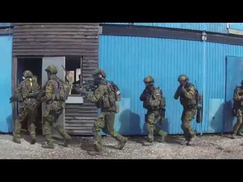 Four NATO battalions deploying to Estonia, Latvia, Lithuania and Poland.