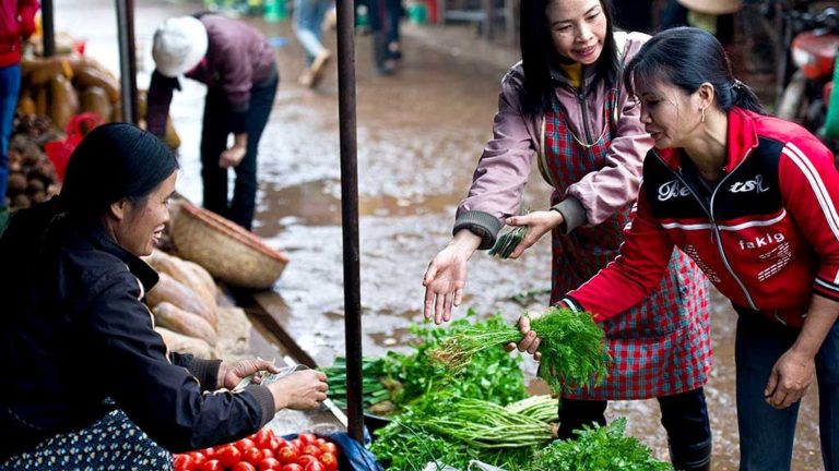 In #VietNam, Some Farmers are No Longer at the Mercy of the Monsoons  #climatere…