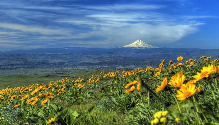 RT @ForestServiceNW: “The Earth has its music for those who will listen.” George…