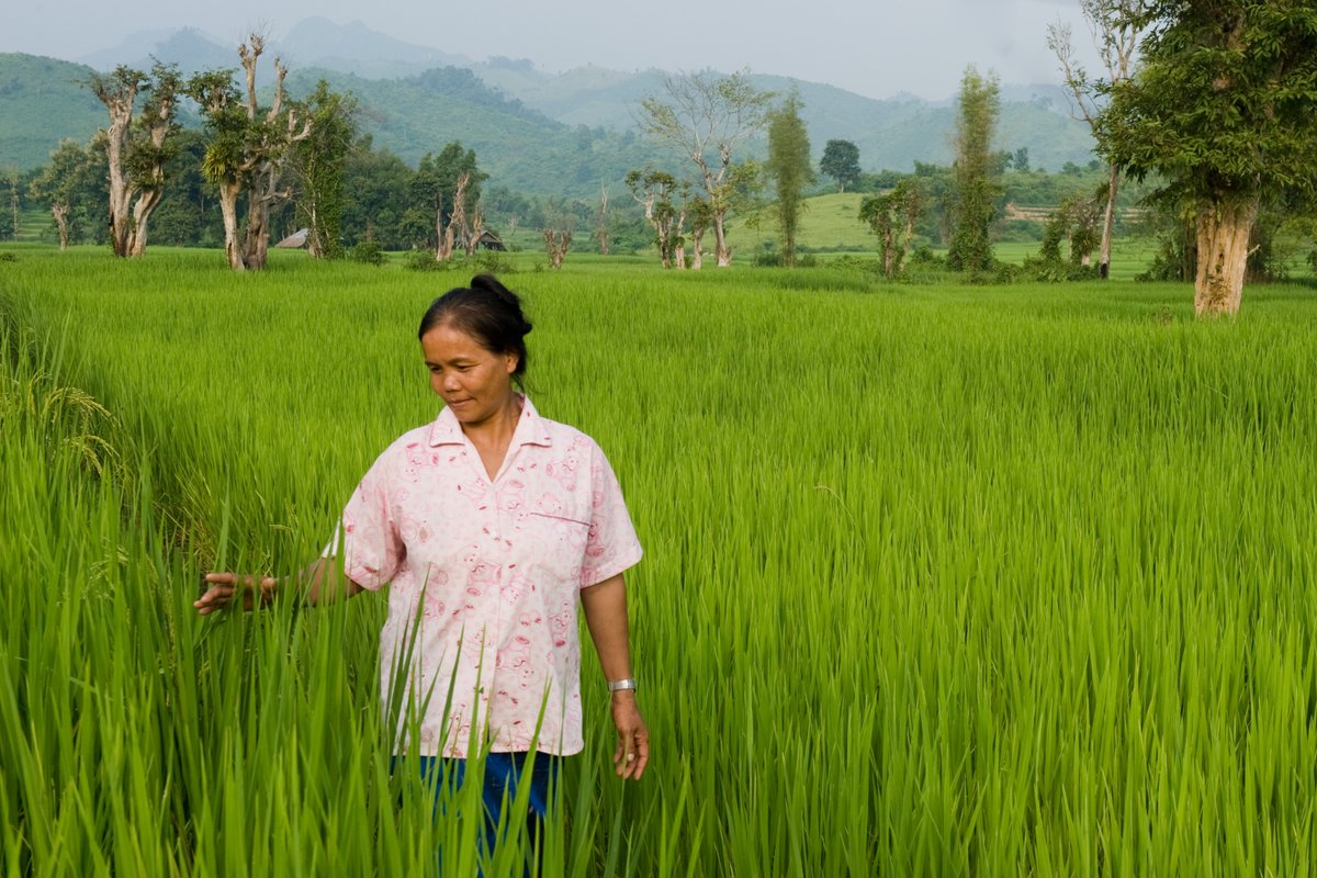 Slowing China Economy Ripples Into #Laos  via @VOANews #Chinaslowdown …