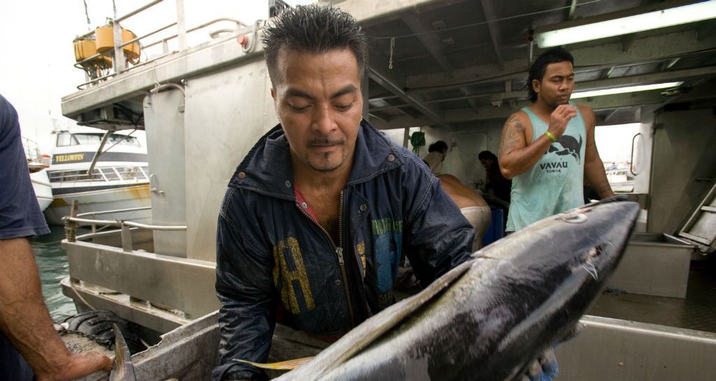 NEWS: Pacific Economies Forecast To Grow By 3.9% In 2016 Amid Rising Global Risk…