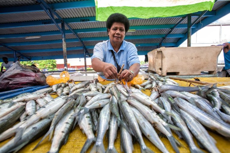 Increased tourism, fisheries & construction supporting growth in some South …