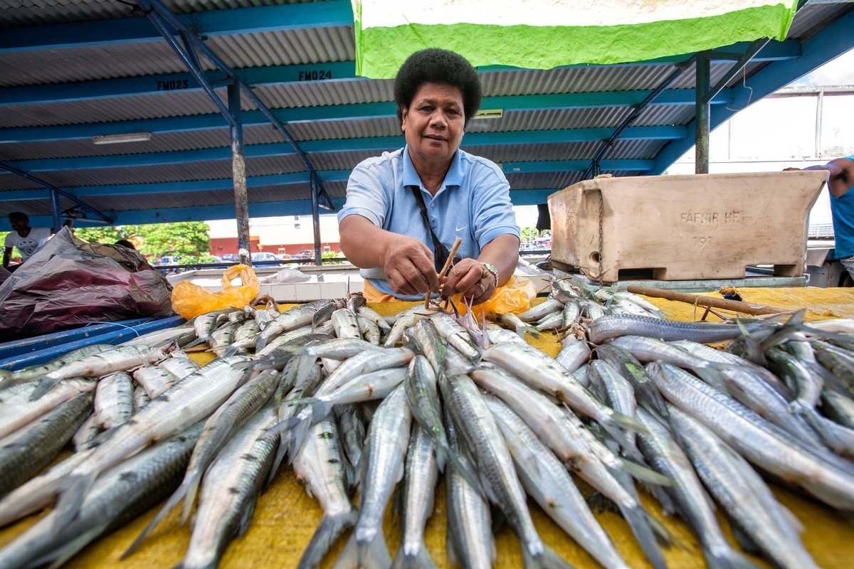 Increased tourism, fisheries & construction supporting growth in some South …