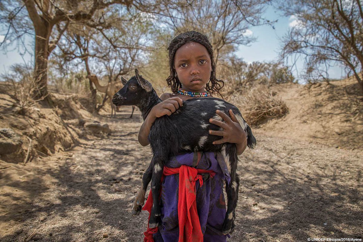 Powerful photos reveal #Ethiopia’s worst drought in decades:  …