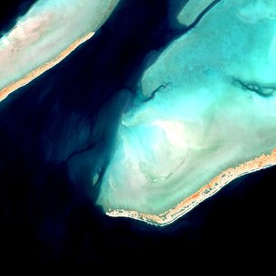 Looking out for coral bleaching