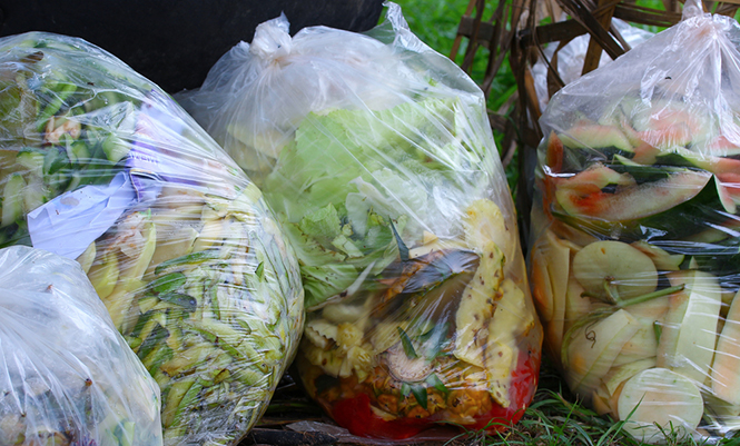 Five reasons cities should take a leading role on food waste