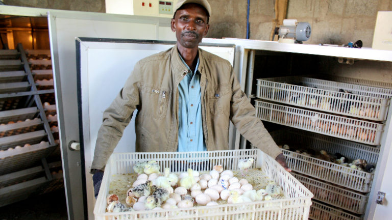 Breaking Down Barriers: Unlocking Africa’s Potential through Vigorous Competition Policy