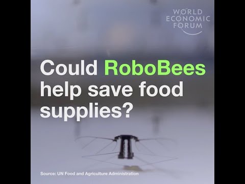 Could RoboBees help save food supplies?