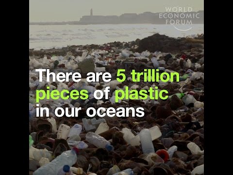 There are 5 trillion pieces of plastic in our oceans