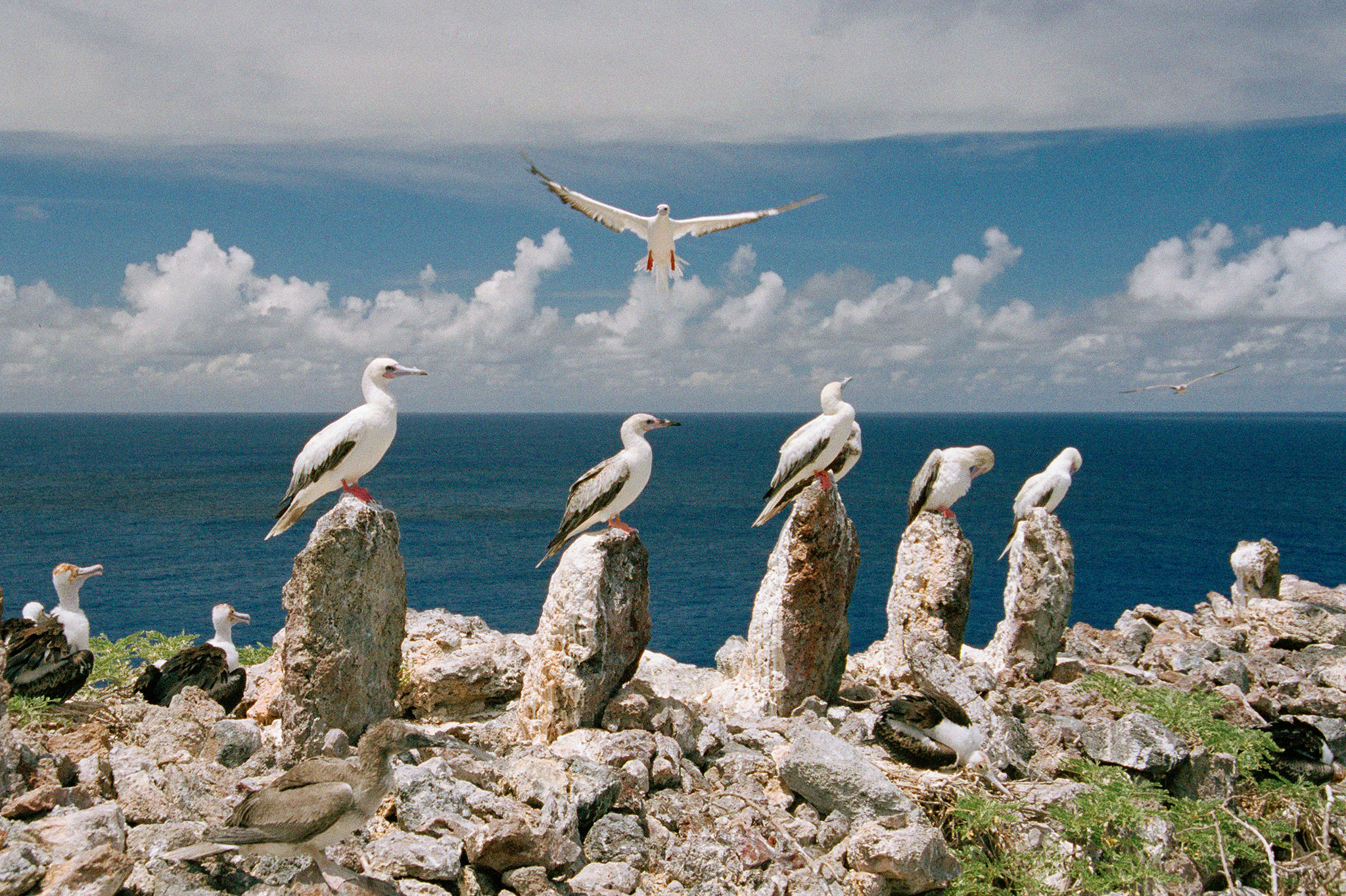 National Geographic