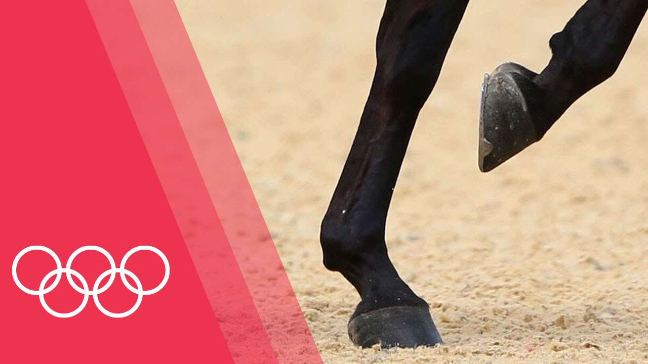 The Secrets to Equestrian | Olympic Insider