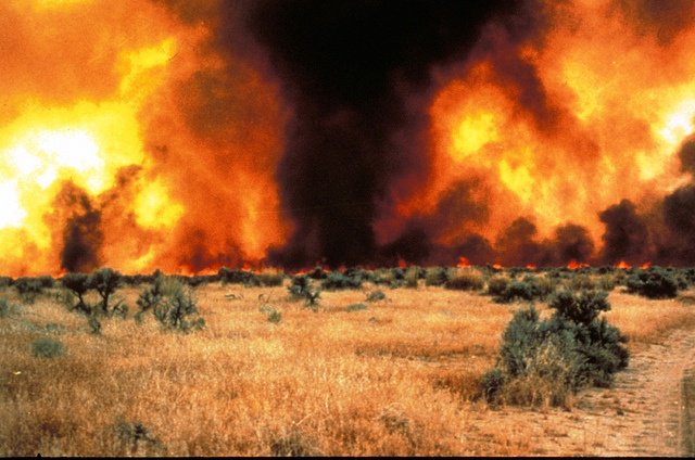 Learn what to do if you receive a fire weather watch alert from the @NWS:  …