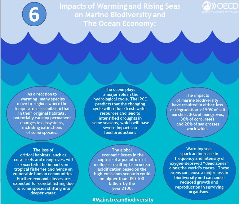 Since ’93, sea level has risen by 3.2mm/yr, ~double that of entire 20th C. Impac…