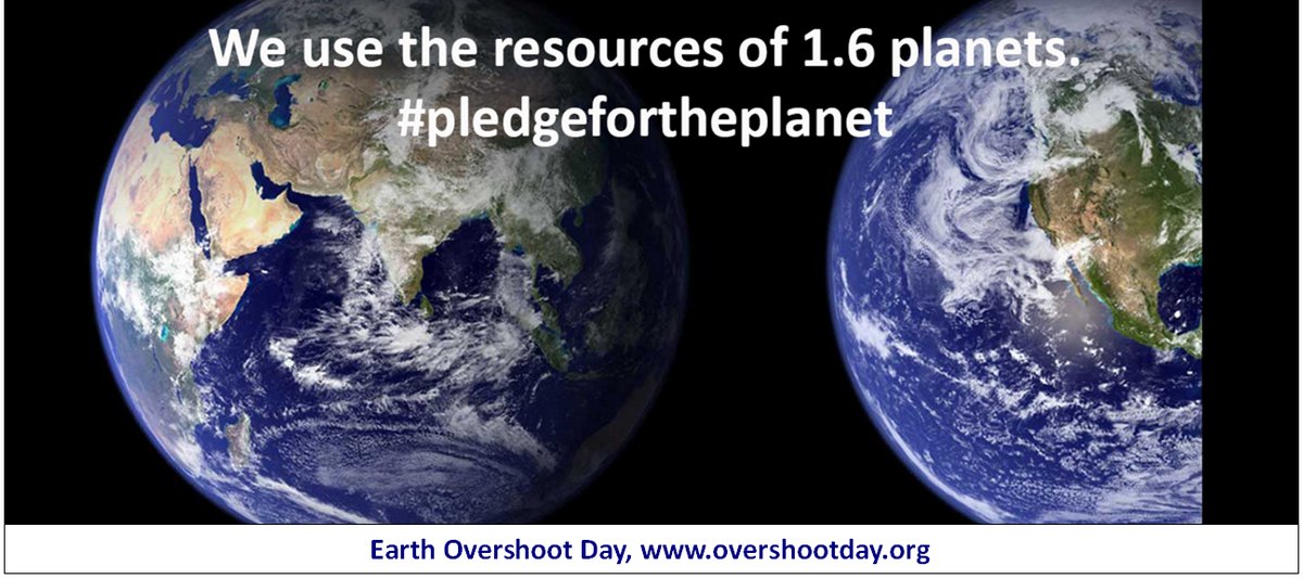 We use more #ecological resources than nature can regenerate; #pledgefortheplane…