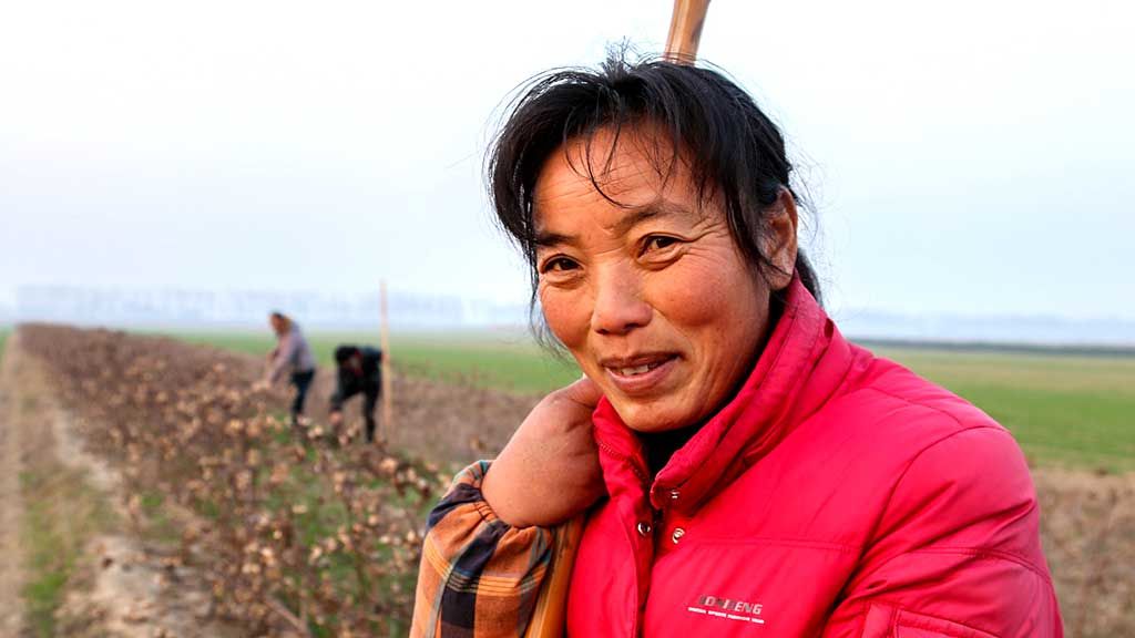Innovative eco-compensation programs save birds, people & the #environment i…
