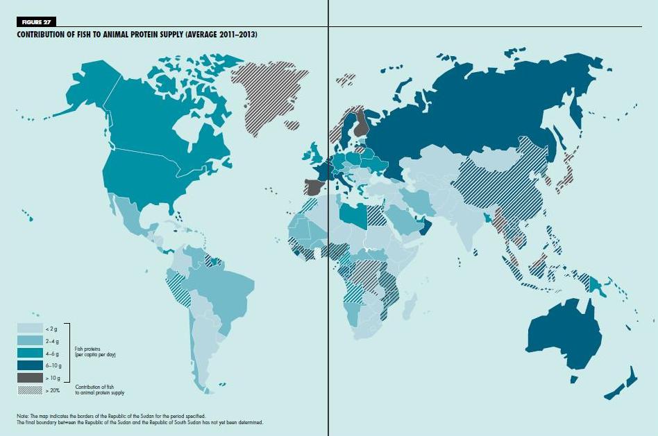 Map: Contribution of fish to animal protein supply (average …