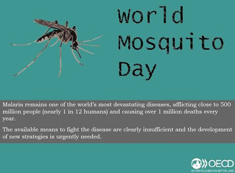 Biting back: Fight #malaria w/science instead of killing mosquitoes, read  #Worl…