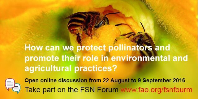 How to protect #pollinators and their role in #agriculture? Share your views onl…