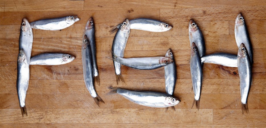 RT @FAOfish: Why the importance of #fisheries sector in global #food systems is …
