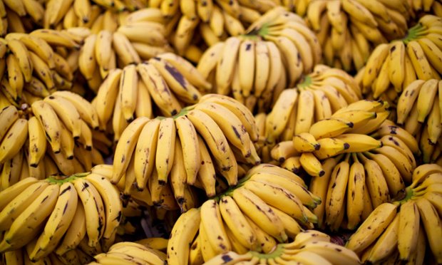 Medium-term prospects for raw materials, horticulture and tropical products   #F…