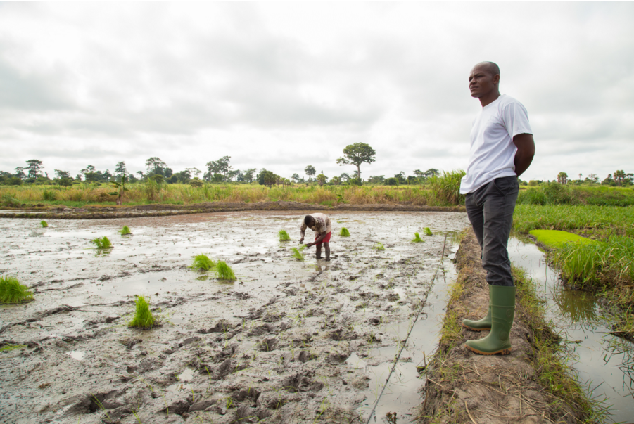 The challenge to be climate smart with the world’s agriculture