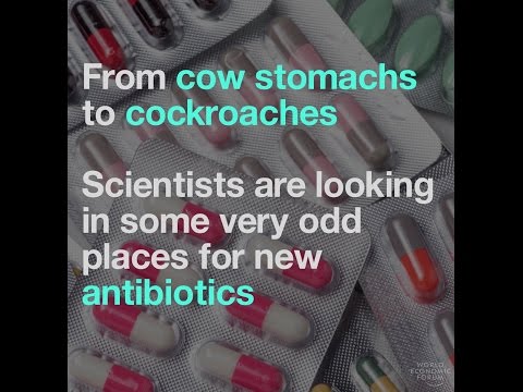 Exploring unusual places in the search for new antibiotics