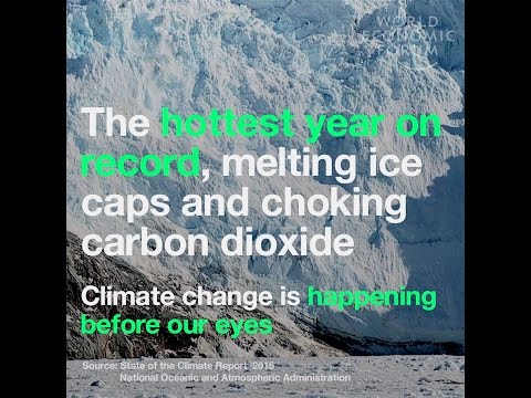 The hottest year on record