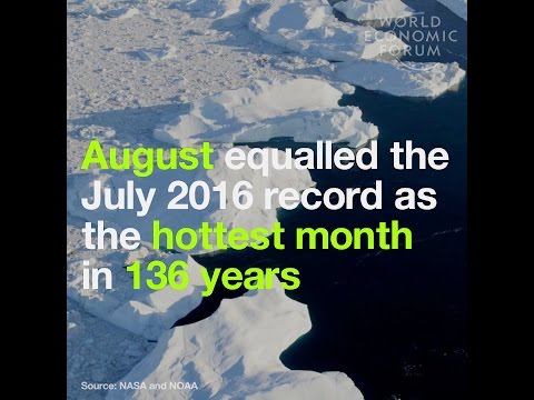 August equalled the July 2016 record as the hottest month in 136 years