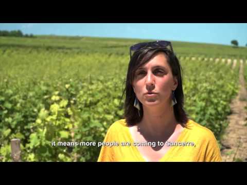 How CETA will help a French wine export company