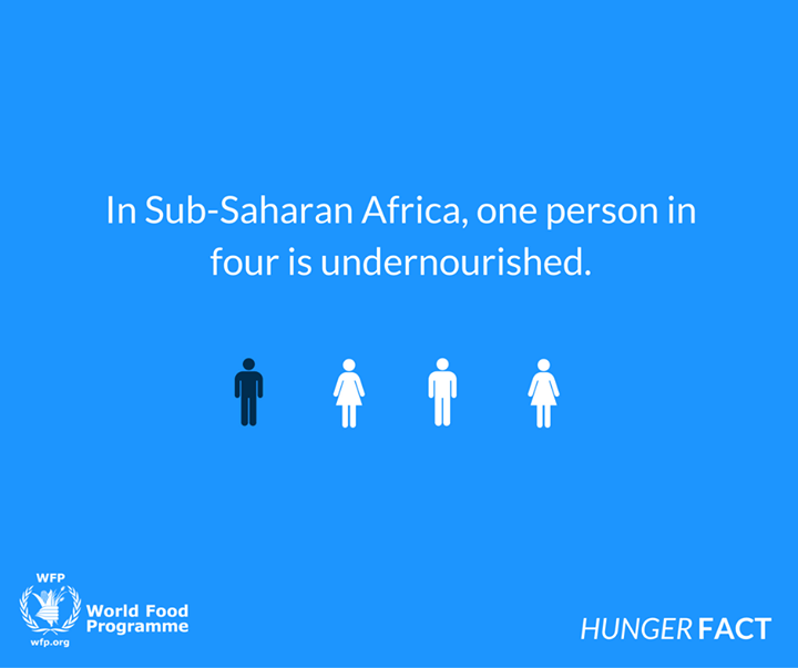 Here is a hunger fact via World Food Programme#HungerFact //…