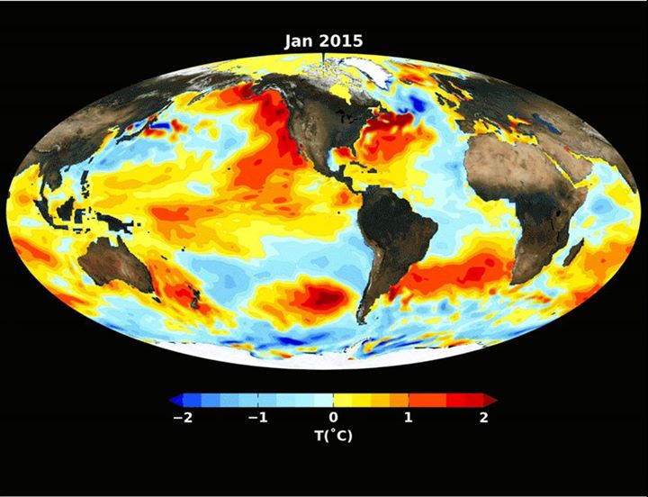 Not too hot, not too cold – Pacific water temperatures reset…