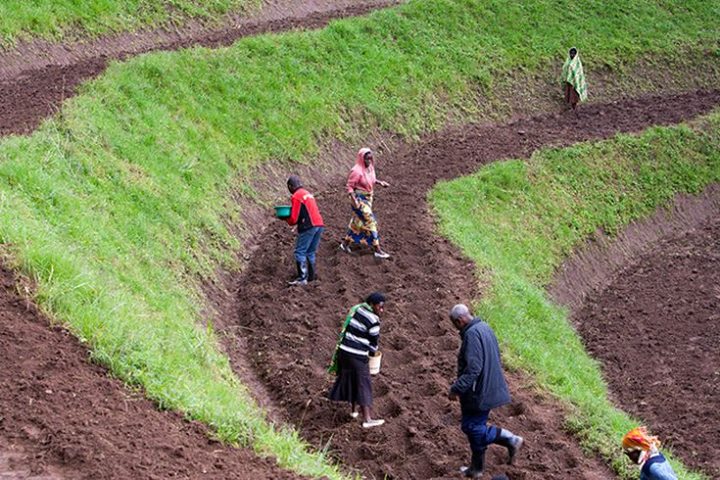 From 2005-2010,  #Rwanda lifted 1 million people out of pove…