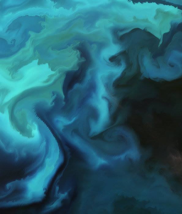 Although it may appear as a watercolour painting, this image is a natural-colour…