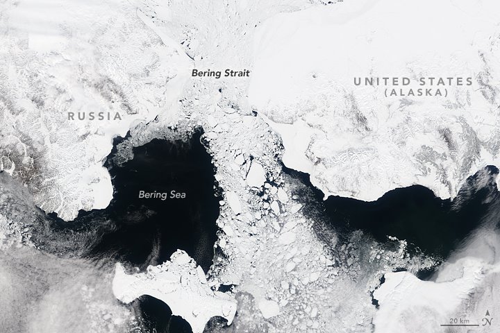 Each winter, sea ice forms in both the Arctic and the Antarc…