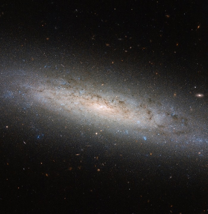 The dark side of…a galaxy. The shining disk of a spiral gala…