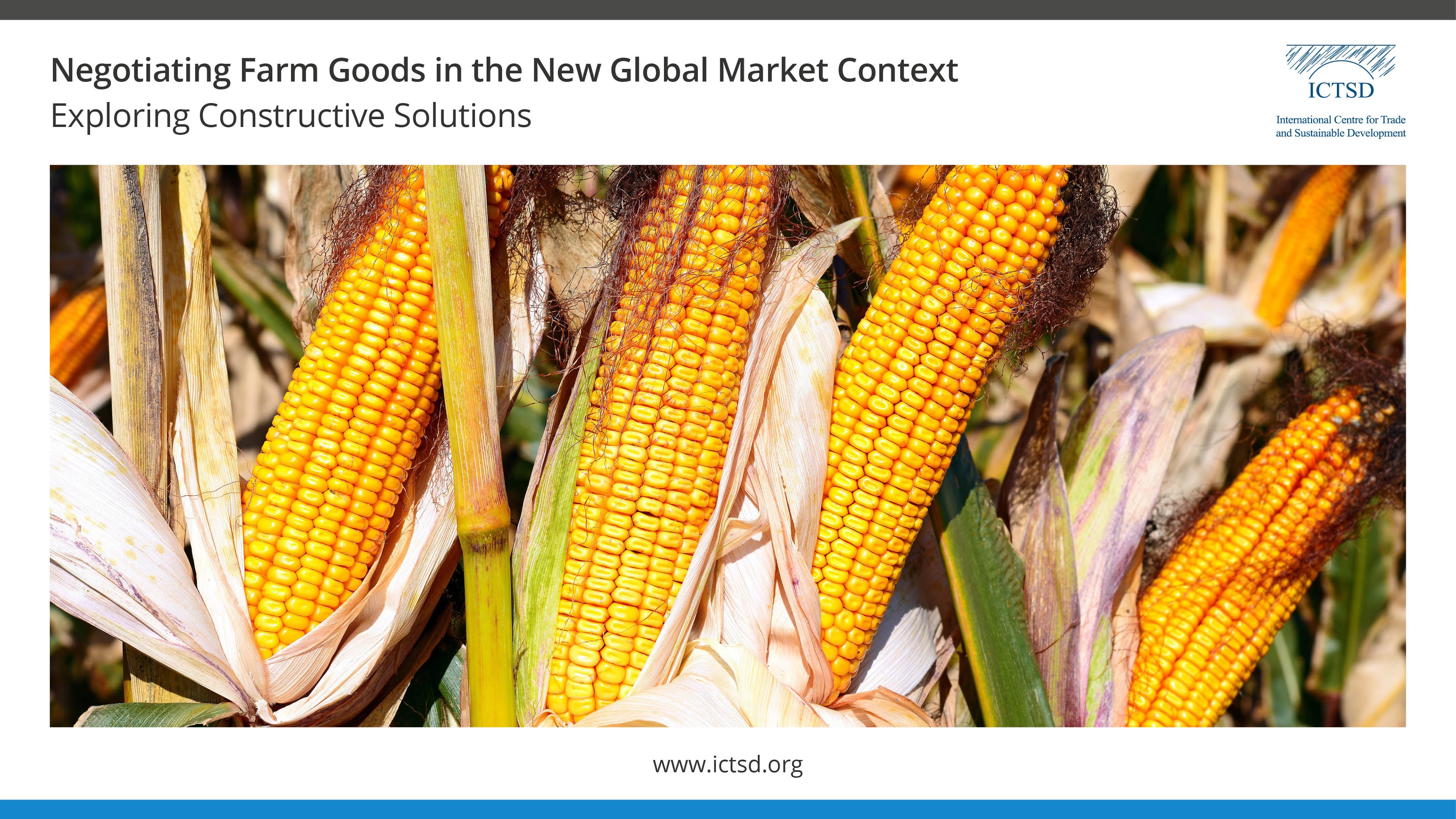 Negotiating Farm Goods in the New Global Market Context