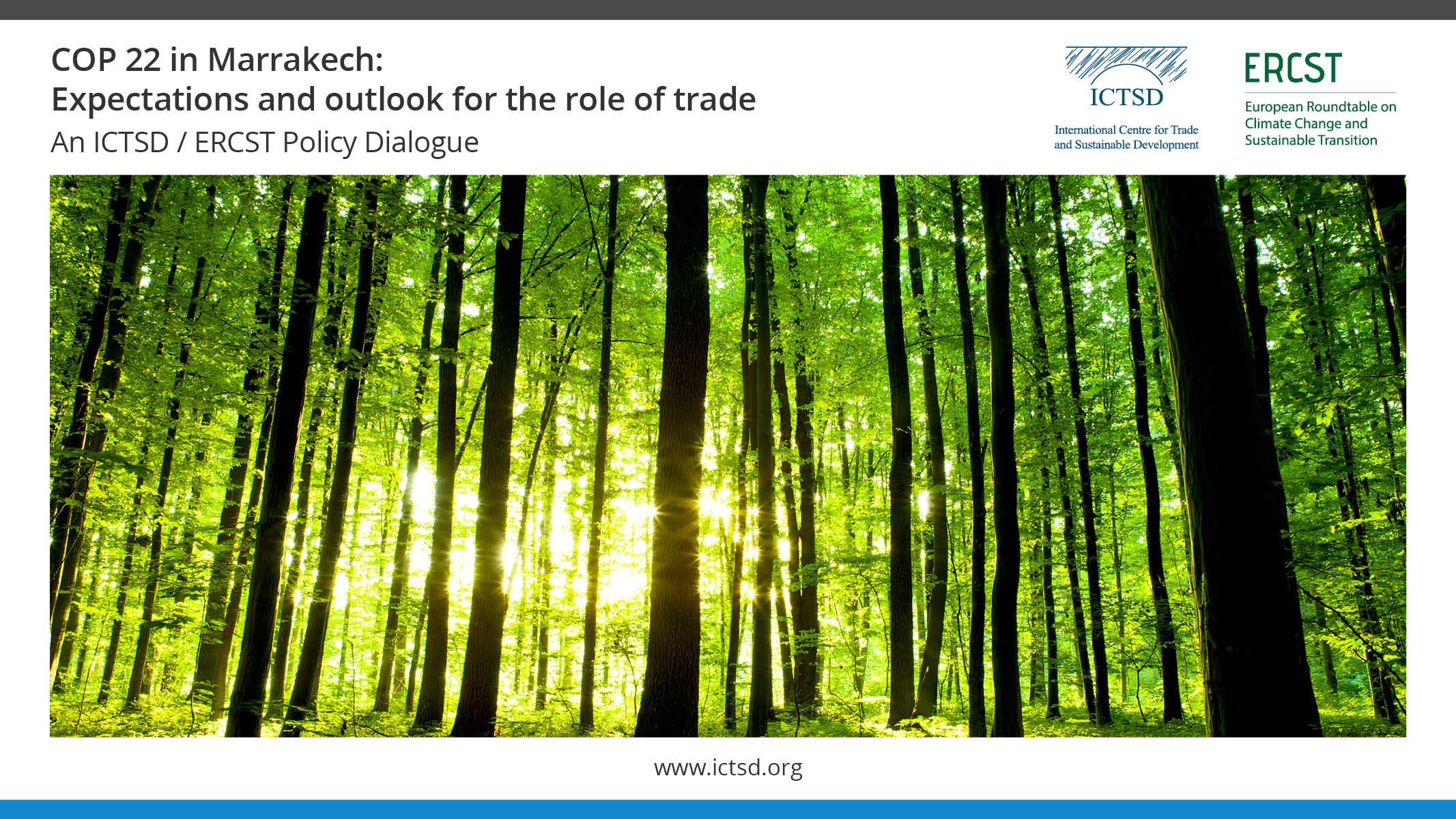 COP 22 in Marrakech: Expectations and outlook for the role of trade
