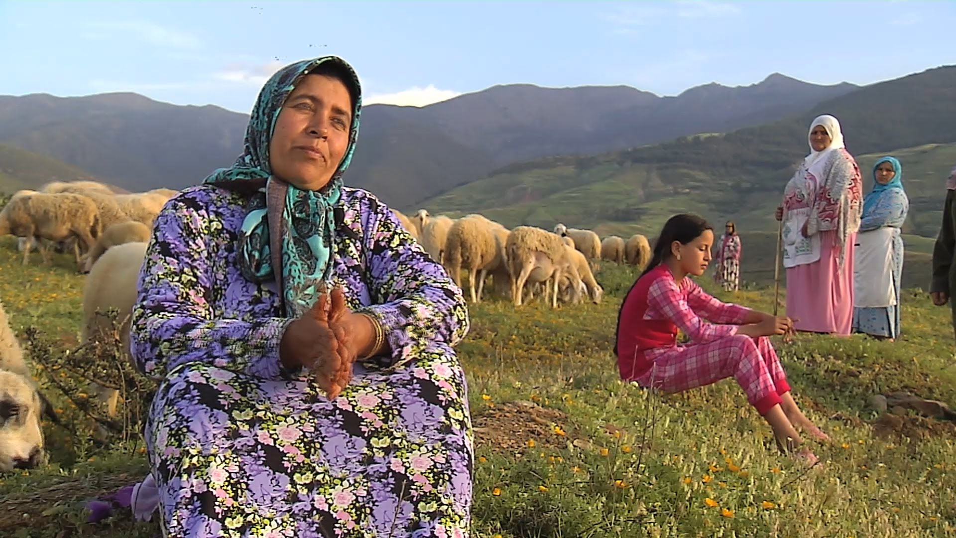MAROC : DEUX MOUTONS