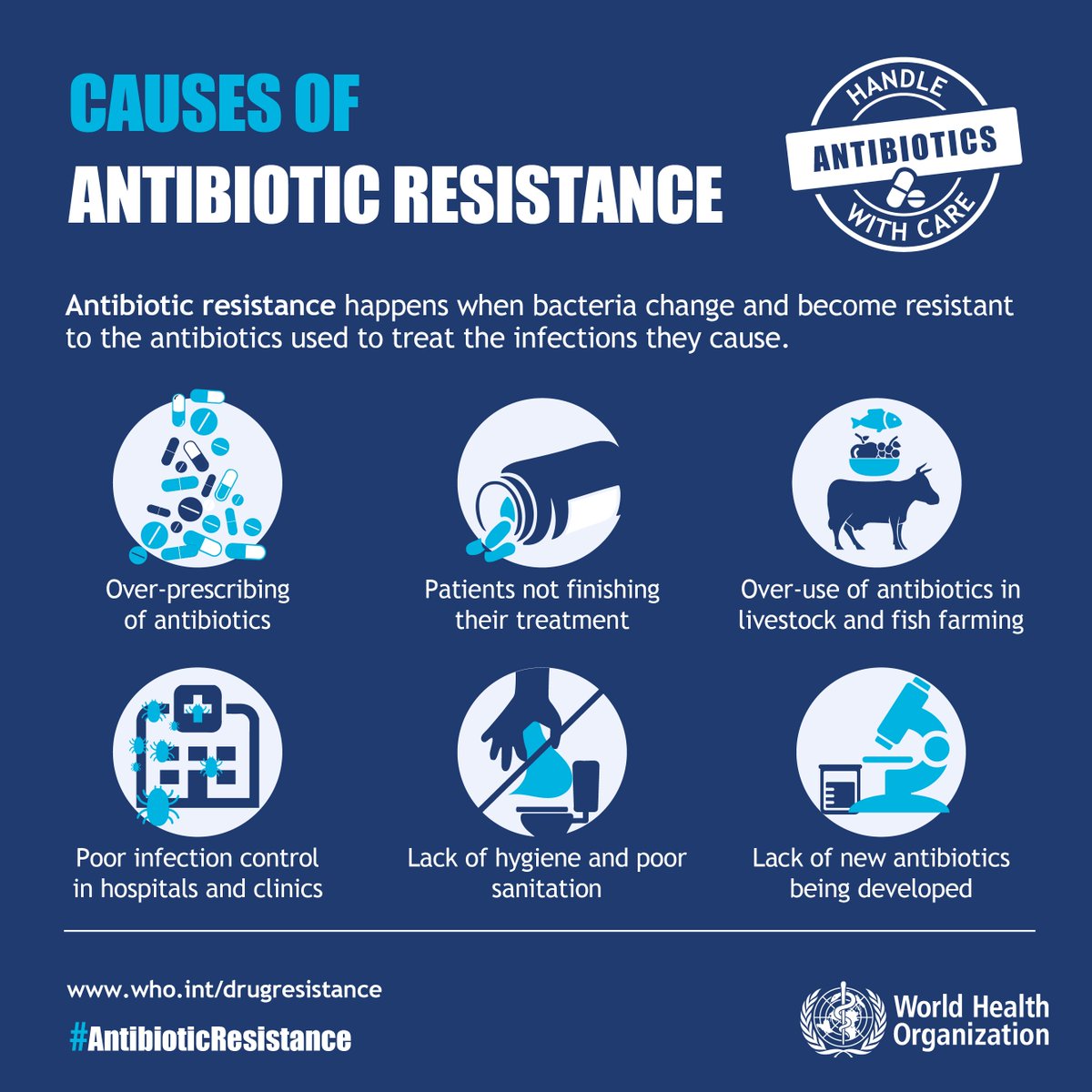 Antimicrobial resistance at the human – animal – ecosystem in…