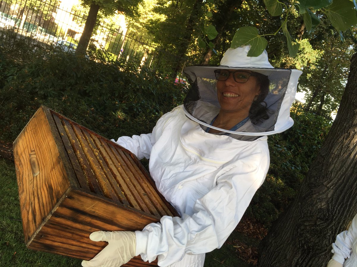 Harvesting honey from #OECD beehives, ahead of #JournéesduPatrimoine next weeken…