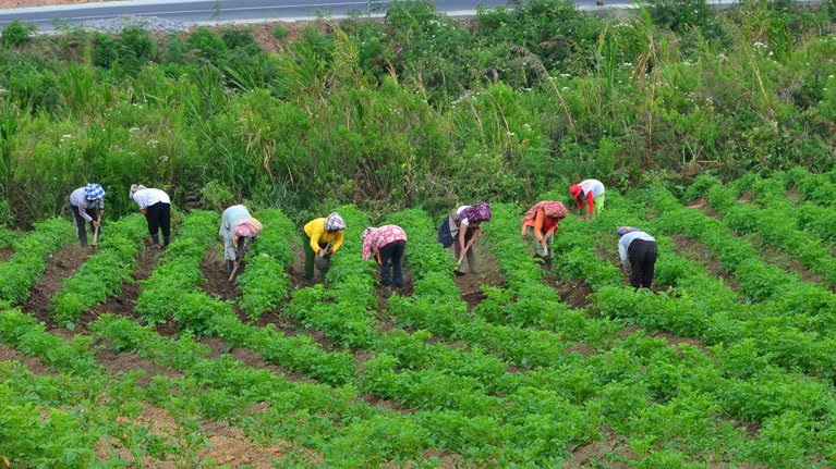 What are green jobs? Why do they matter? Watch the full interview with our exper…