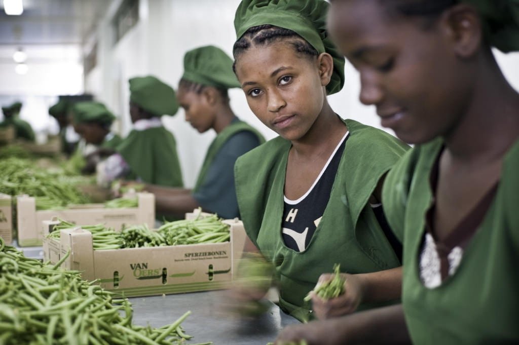 #DIY? Young people account for more than 15% of the global labour force.  …