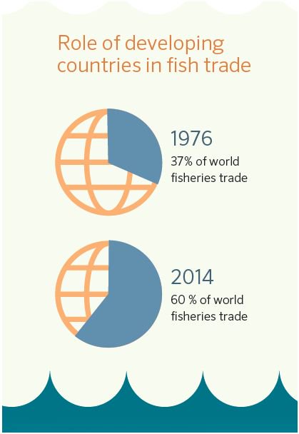#Fishtrade extremely important4 developing countries. #SOFIA16 – im…