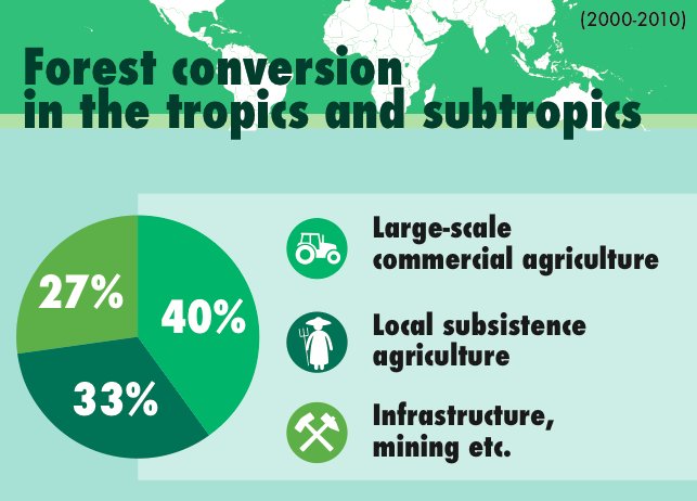 Agriculture remains the most significant driver of global defor…