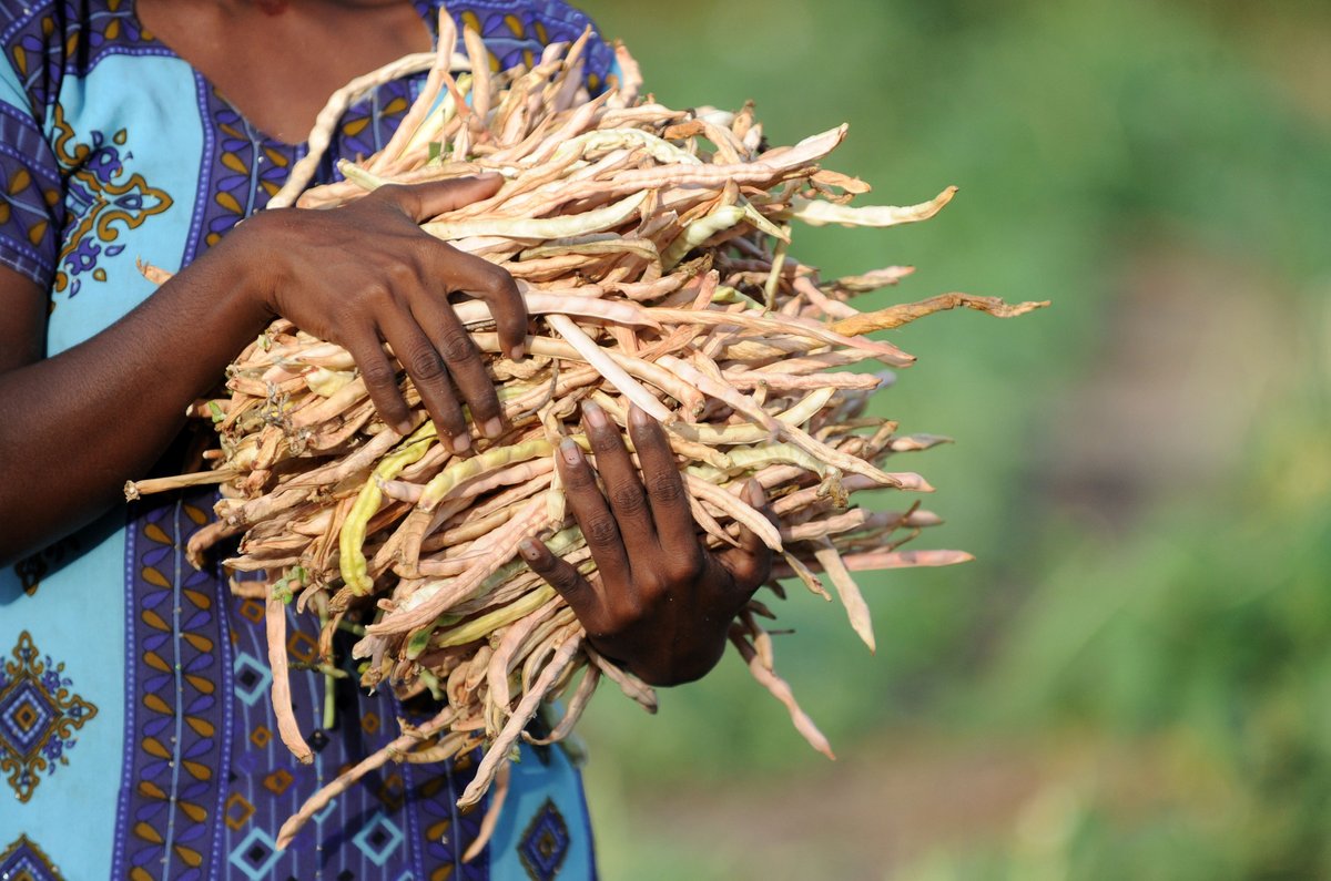 $15 million in @USAID funding looks to spark ‘new era’ in agricultural data coll…