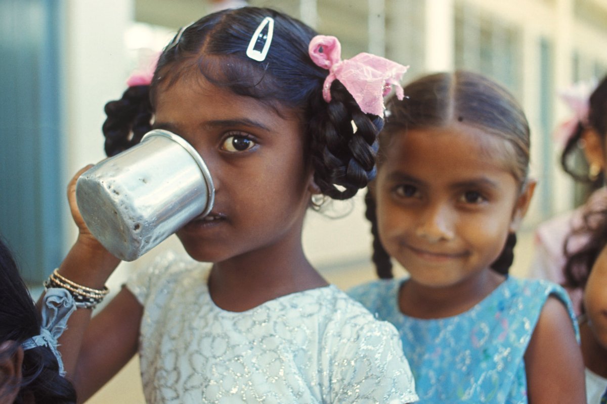 #Consultation | Maximizing the Impact of the UN Decade of Action on Nutrition  …