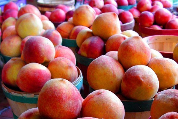 Have a Georgia peach of a time at the #BLSdata conference in Atlanta September 2…